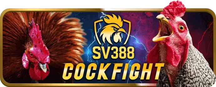 Nhấp vào nút Đăng Ký trên trang chủ NEW88BI